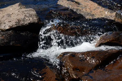 DSC_9938 (Large).JPG